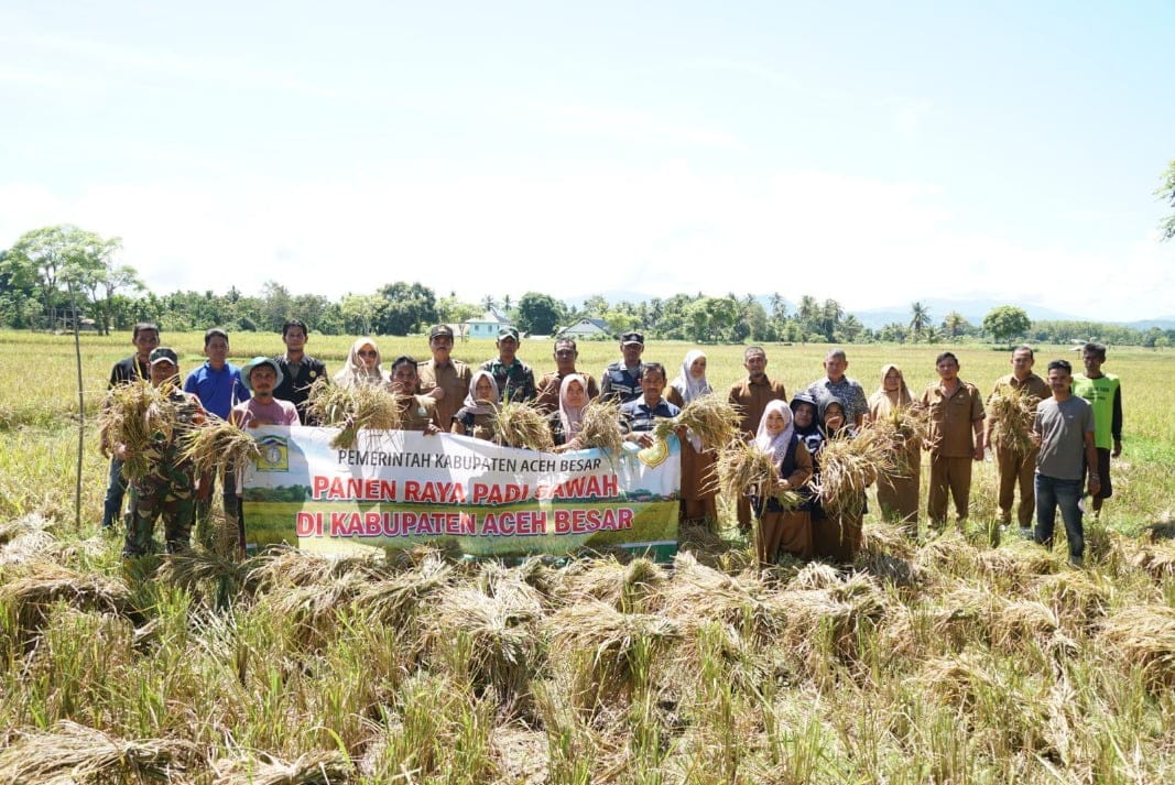 Kepala Dinas Pertanian Aceh Besar Jakfar SP MSi, dan para OPD dilingkungan Distan Aceh Besar serta Forkopimka Kota Jantho, usai panen raya padi bersama, di Gampong Teureubeh, Kecamatan Kota Jantho, Kabupaten Aceh Besar, Senin (22/4/2024). Humas Pemerintah Aceh Besar.